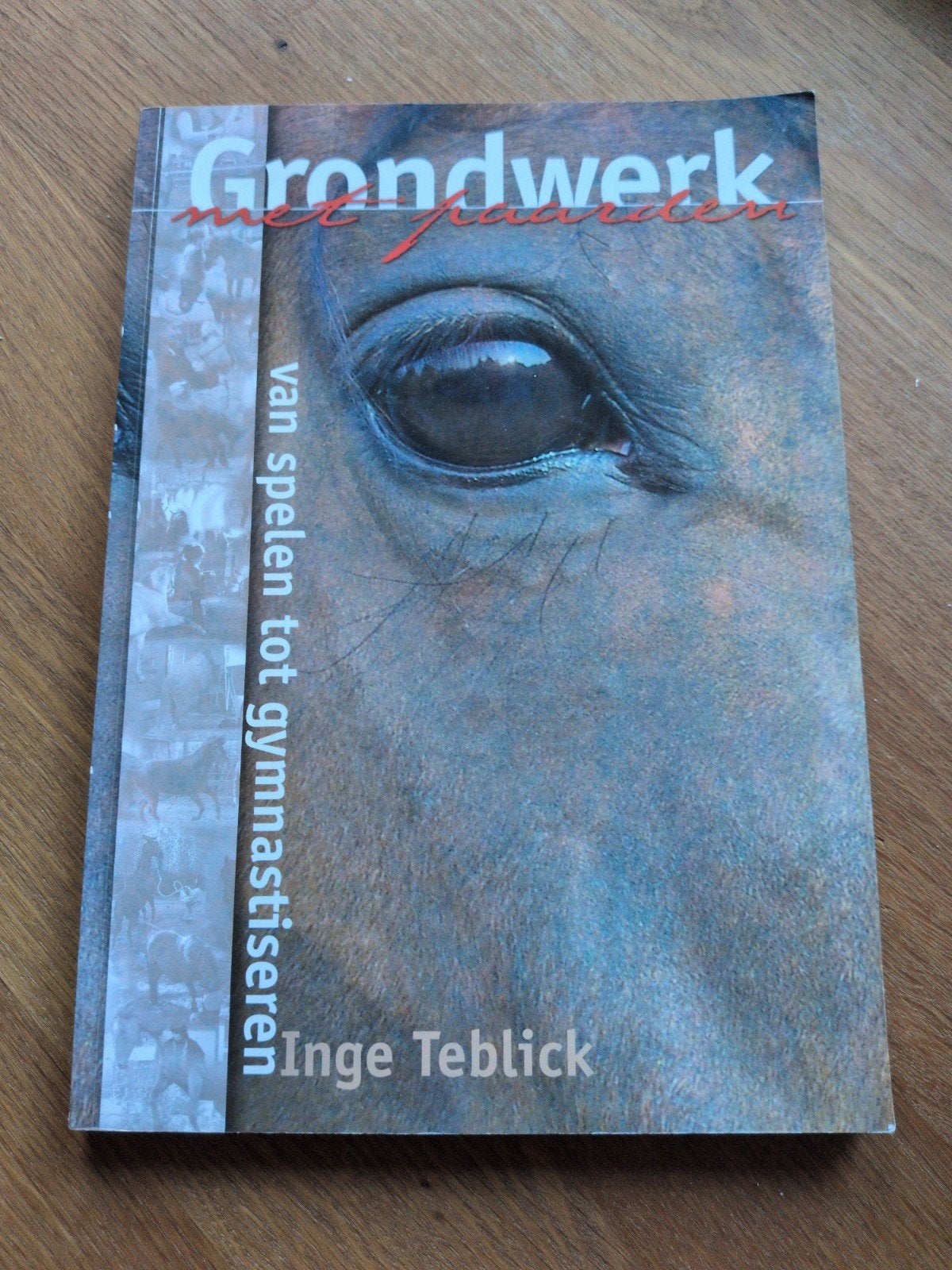 Inge Teblick - Grondwerk met paarden, Boeken, Ophalen of Verzenden, Zo goed als nieuw, Paarden of Pony's, I. Teblick