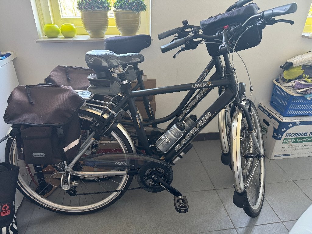 Sportieve Batavus fietsen, Fietsen en Brommers, Ophalen, 28 inch, 53 tot 56 cm, Velgrem