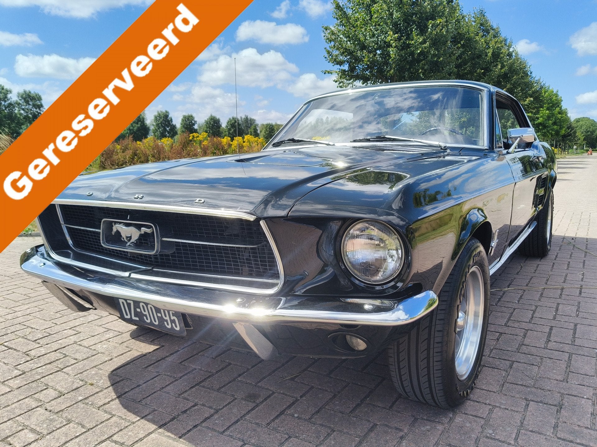 Ford Mustang HARDTOP 289 V8 COUPE C CODE! NL KENTEKEN, foto 1