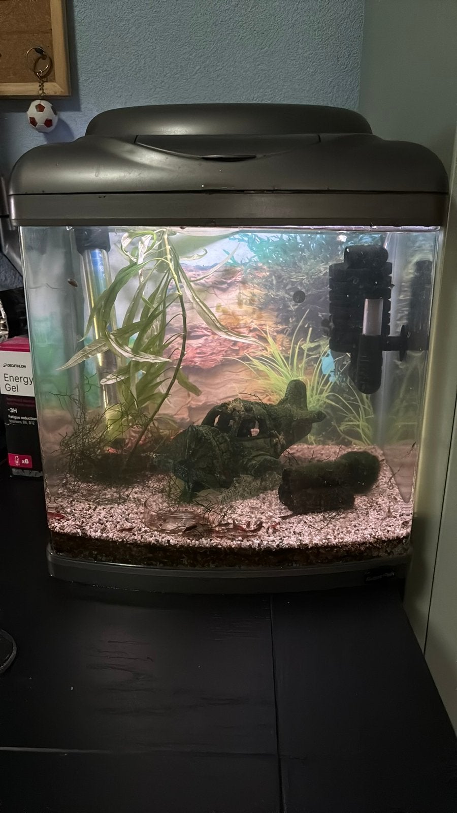 Mooi compleet aquarium met garnalen, Ophalen, Gevuld zoetwateraquarium