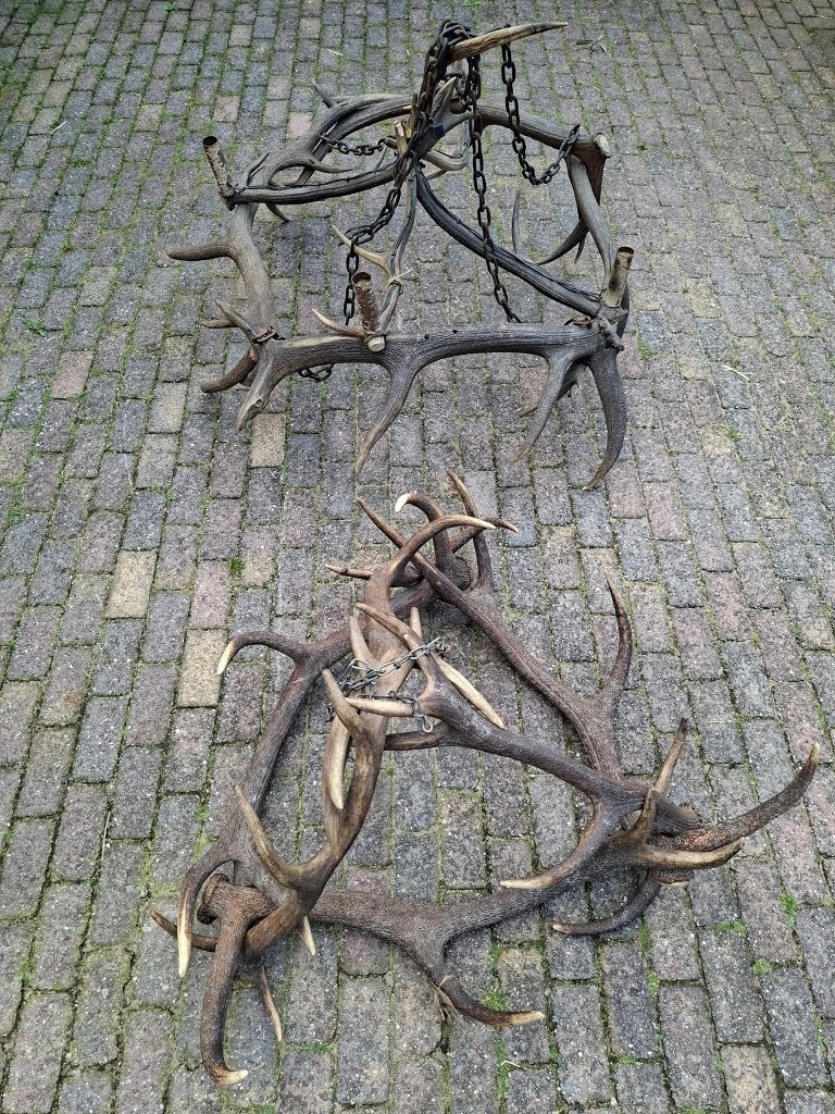 opknappers geweilampen geweien lampen, Verzamelen, Dierenverzamelingen, Ophalen, Gebruikt, Hert, Overige typen