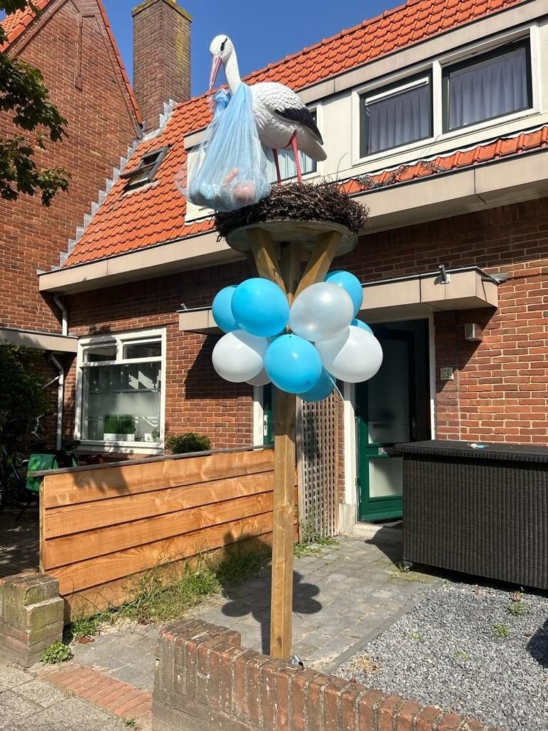 T.h.a. ooievaar op nest/landingsplaats., Ophalen