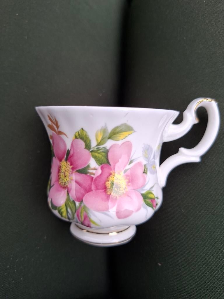 Royal Albert Prairie Rose Kopje - Vintage Porselein, Ophalen of Verzenden