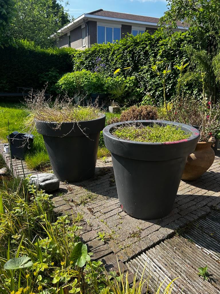Grote bloempotten voor buiten diameter 65cm  - Grijs, Ophalen, Kunststof, Rond, Zo goed als nieuw