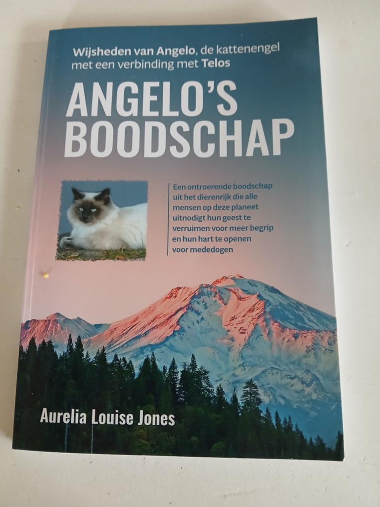 Aurelia Louise Jones - Angelo’s boodschap, Tarot of Kaarten leggen, Overige typen, Ophalen of Verzenden, Zo goed als nieuw