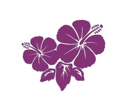 camper caravan bus sticker hibiscus flowers, The River House, Info@theriverhouse.nl, Nieuw, Ophalen of Verzenden