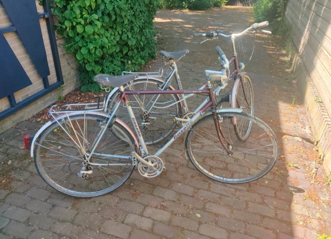2 Gazelle fietsen met Brooks zadels- Tegen elk aannemelijk b, 53 tot 56 cm, Ophalen, Gebruikt, Gazelle