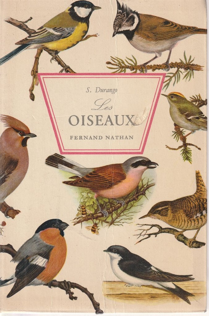 Oiseaux, Ophalen of Verzenden, Gelezen, Vogels