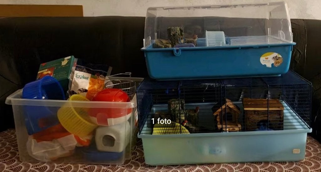 Rest partij hamster spullen + 2 kooien, Dieren en Toebehoren, Overige typen, Hamster, Ophalen, Minder dan 60 cm