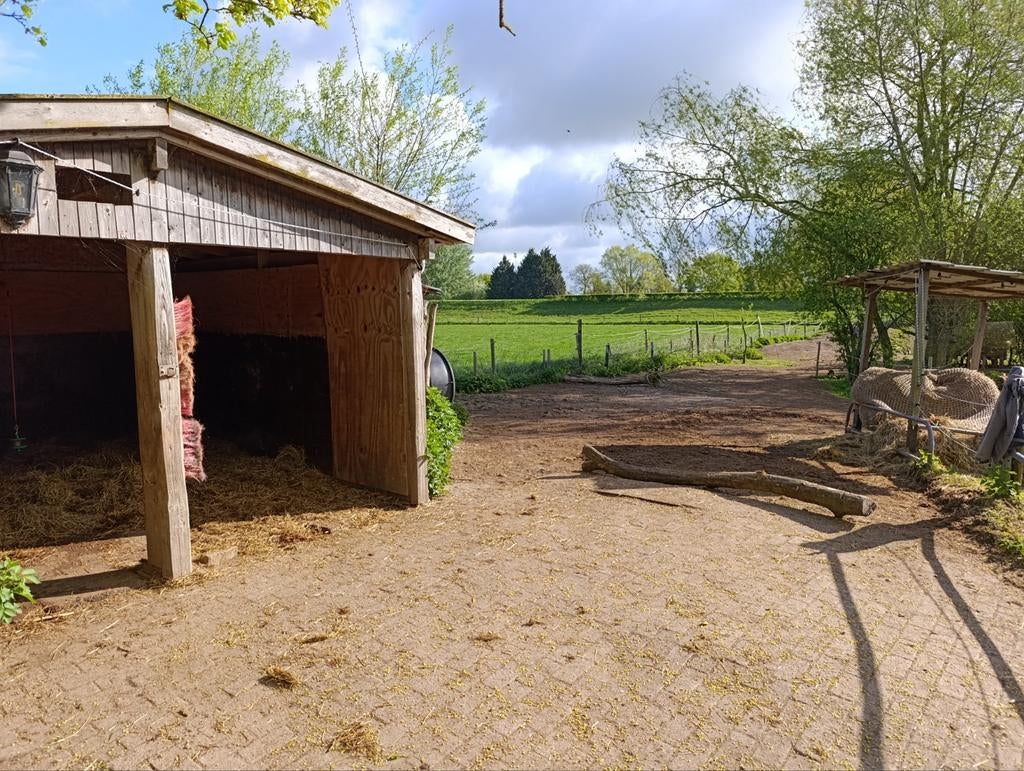 24/7 weidegang met schuilstal, onbeperkt hooi, bult, bak, ed, Weidegang, 1 paard of pony