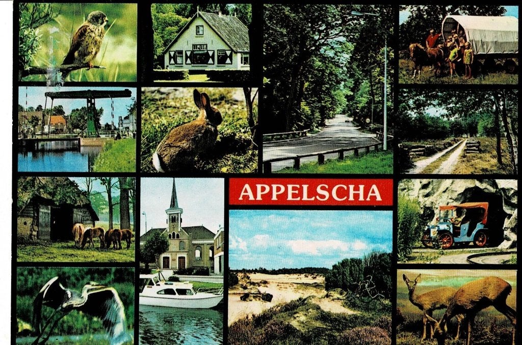 Appelscha, Ophalen of Verzenden, Gelopen, Friesland