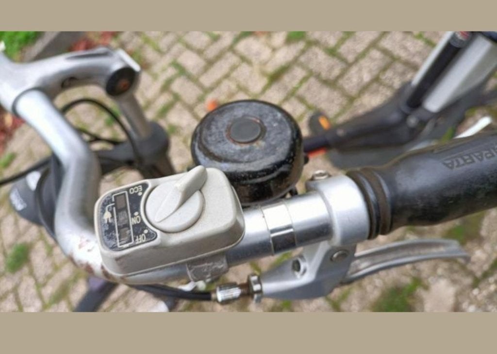 elektrisch fiets Sparta Pharos, Ophalen, Sparta, (Extra) lage instap, Schijfrem