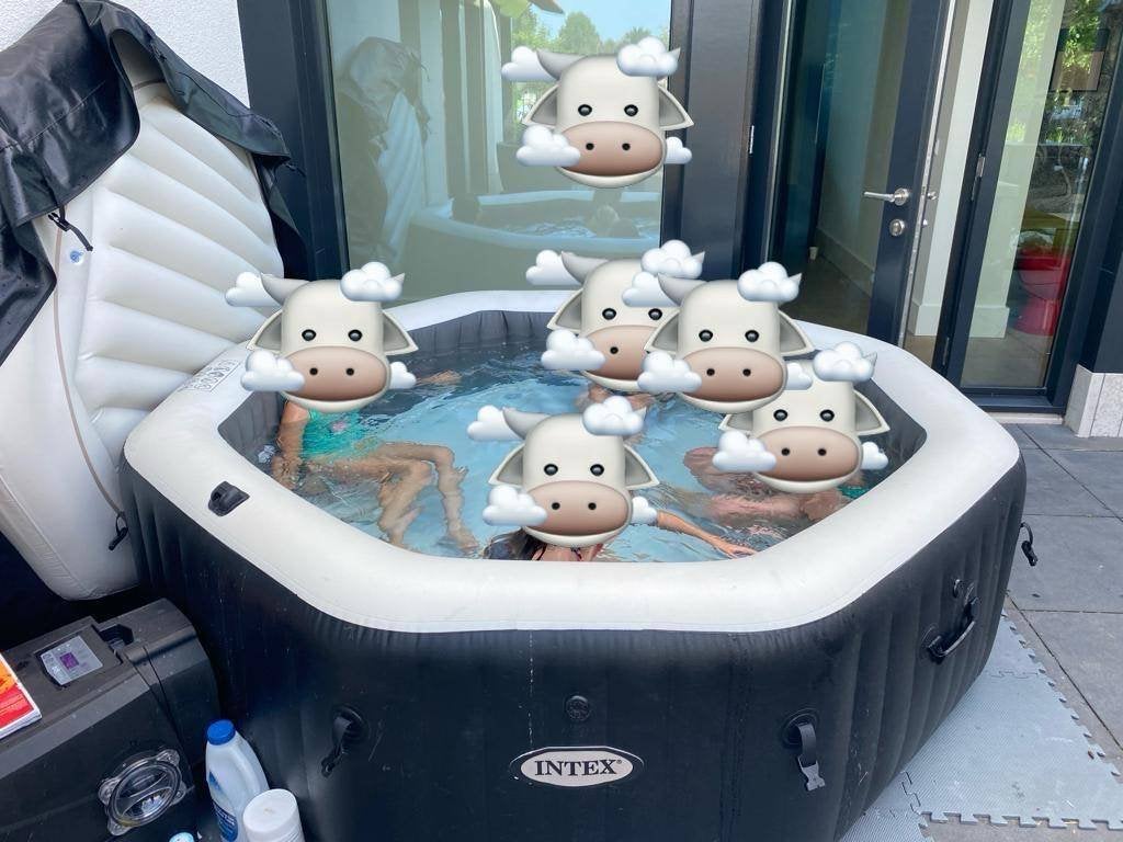 Intex 6p jacuzzi, Tuin en Terras, Bubbelbaden en Hottubs, Ophalen, Gebruikt, Filter, Opblaasbaar