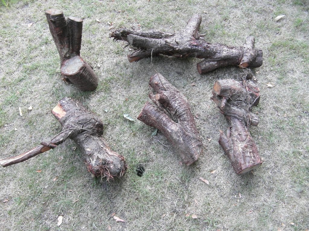 1-5 Boomstronken, ook apart te koop, Tuin en Terras, Ophalen, Nieuw, Minder dan 180 cm, Overige typen