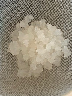 Waterkefir korrels gezonde probiotica drank GRATIS ophalen, Ophalen