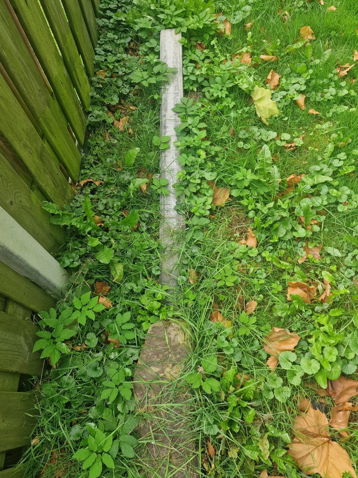 Gratis betonpaal, Ophalen of Verzenden, Gebruikt, Minder dan 180 cm, Palen