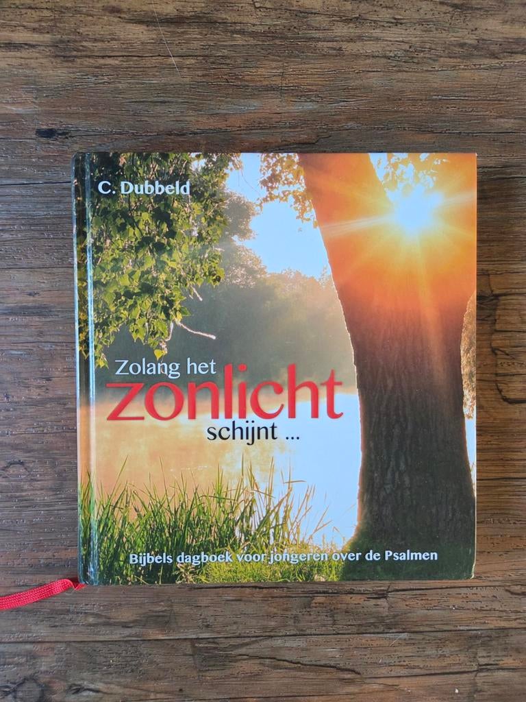 Bijbels dagboek over de psalmen voor jongeren - C. Dubbeld, Ophalen of Verzenden, Zo goed als nieuw