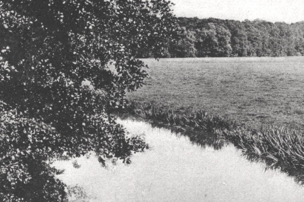 968268	Naarden	oud Valkeveen	Waterpartij	1930, Ophalen of Verzenden, 1920 tot 1940, Gelopen, Noord-Holland