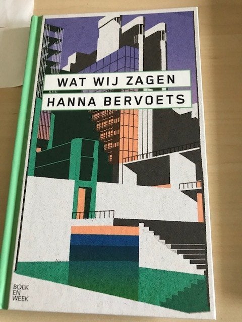 Wat wij zagen, Boeken, Ophalen of Verzenden, Zo goed als nieuw