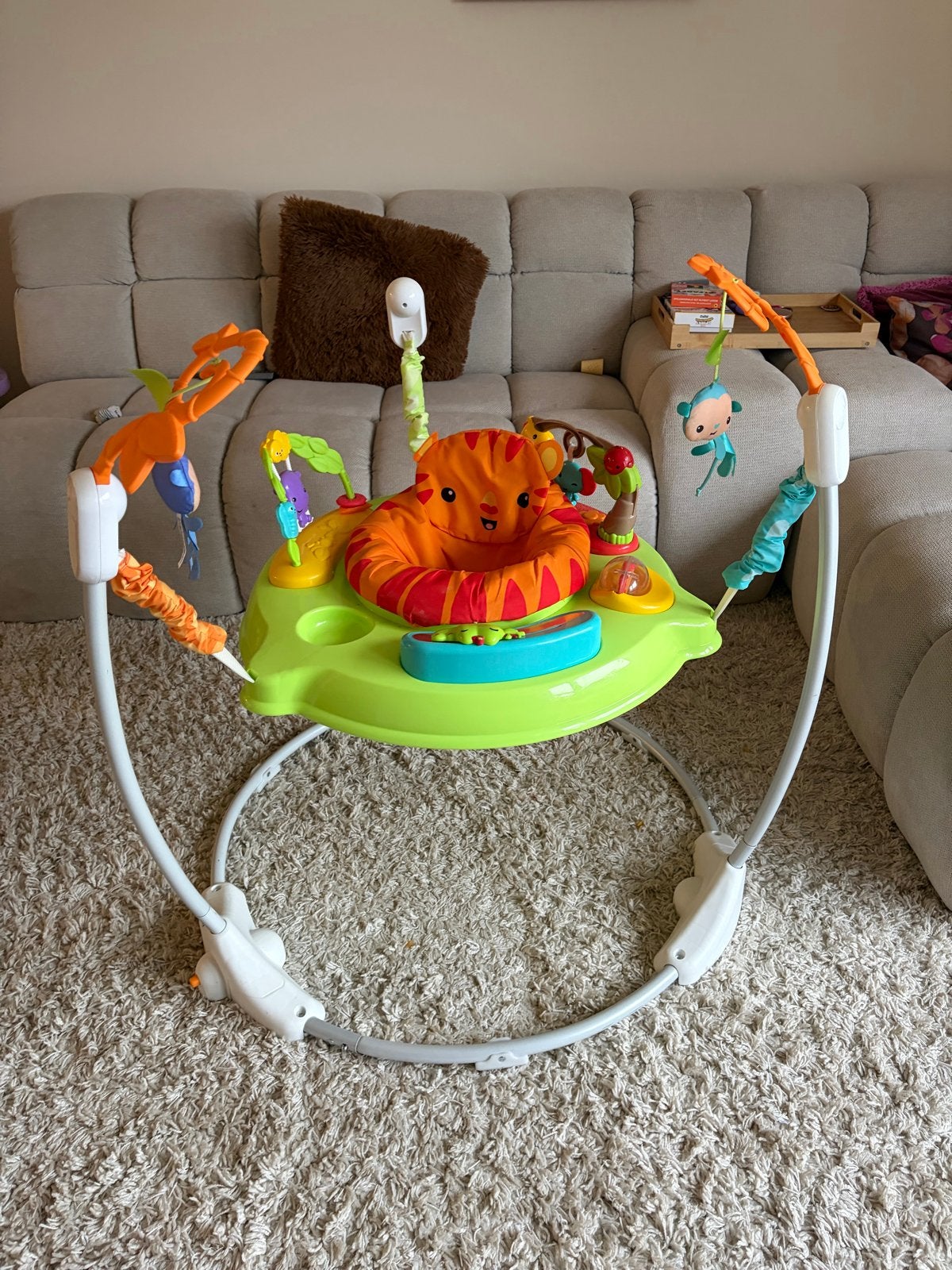 Fisher-Price Jumperoo, Ophalen, Gebruikt, Overige typen, Met geluid