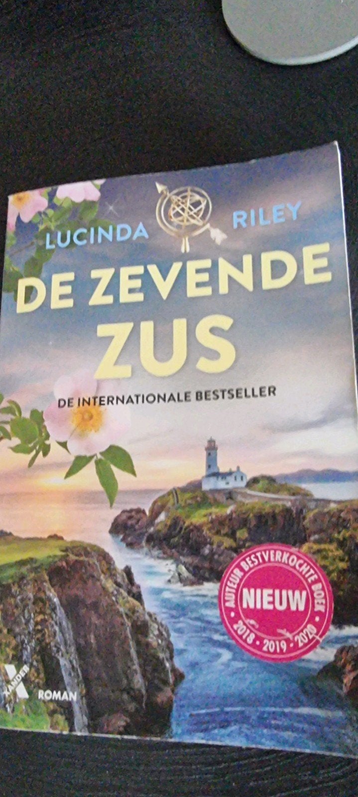 De zevende zus van Lucinda Riley, Boeken, Chicklit, Ophalen, Gelezen