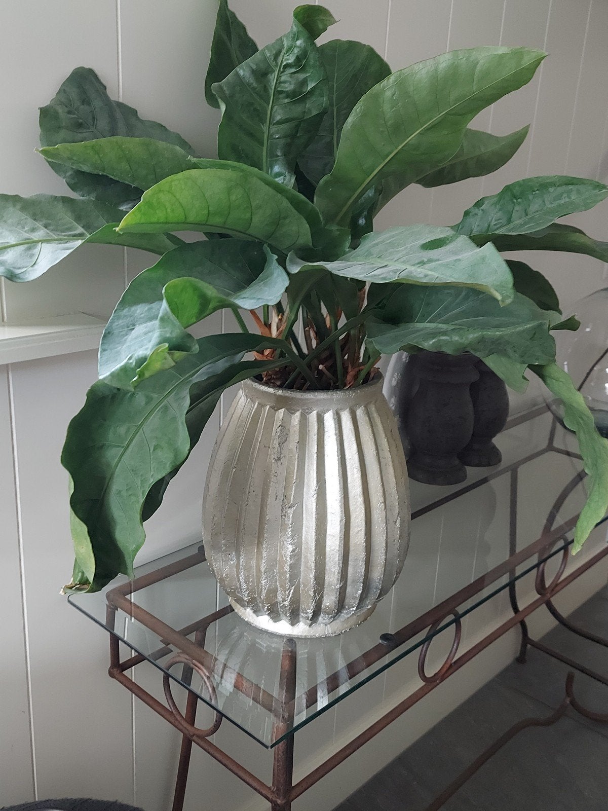 Goudkleur bloempot plant plantenpot grote groene plant, Ophalen, Zo goed als nieuw