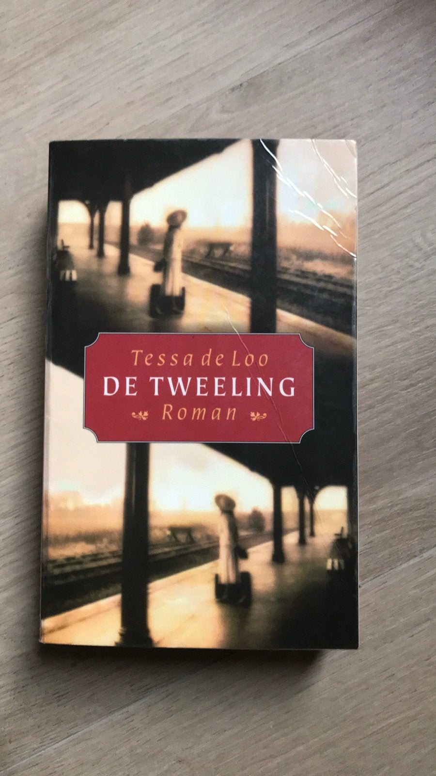 Tessa de Loo - De Tweeling (Roman), Ophalen of Verzenden, Gelezen, Nederland