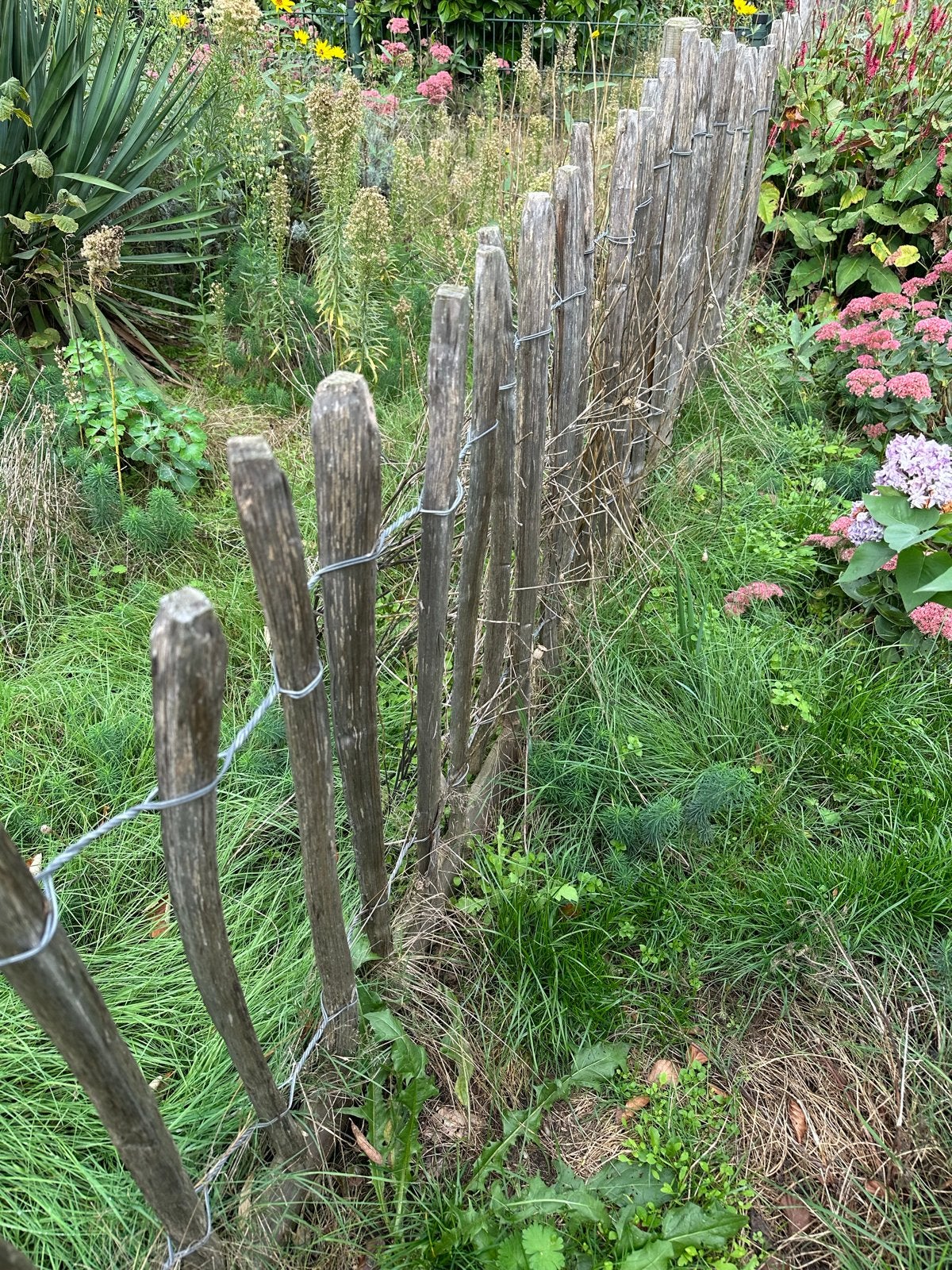 25 meter schapenhek met palen en planken, Ophalen, Gebruikt, Hout, Tuinhek