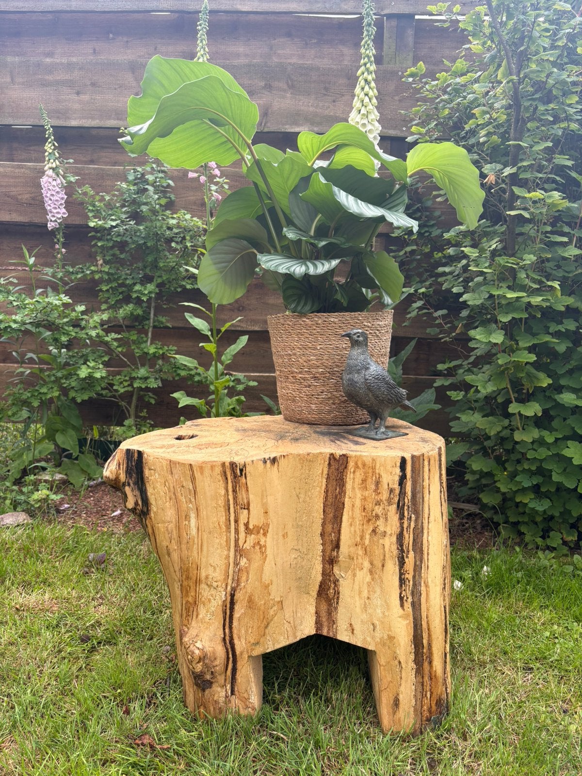 Kastanjehouten salontafel / buitentafel boomstamtafel, Landelijk, 75 cm of meer, Overige vormen, Hout