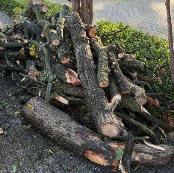 IN PRIJS VERLAAGD!!! VERS HAARDHOUT – IN HANDZAME STUKKEN, 3 tot 6 m³, Verzenden