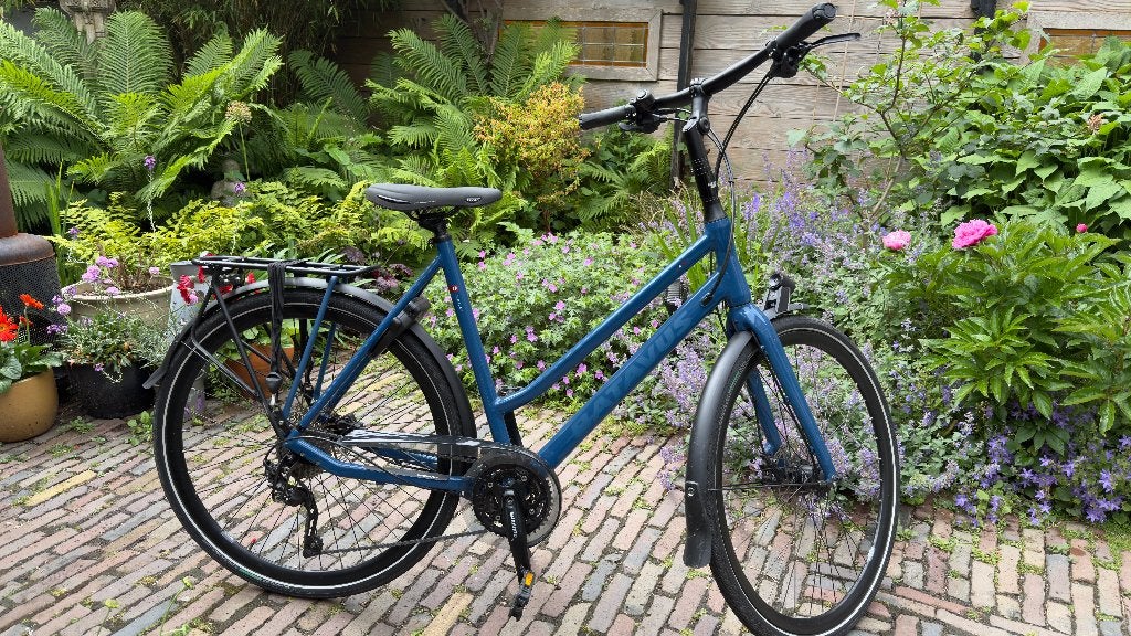 Batavus Damesfiets - Zo goed als nieuw, Ophalen, Velgrem, Versnellingen, Batavus