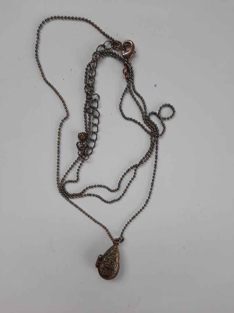 Ketting met medaillon, Sieraden, Tassen en Uiterlijk, Kettingen, Ophalen of Verzenden, Zilver, Overige materialen