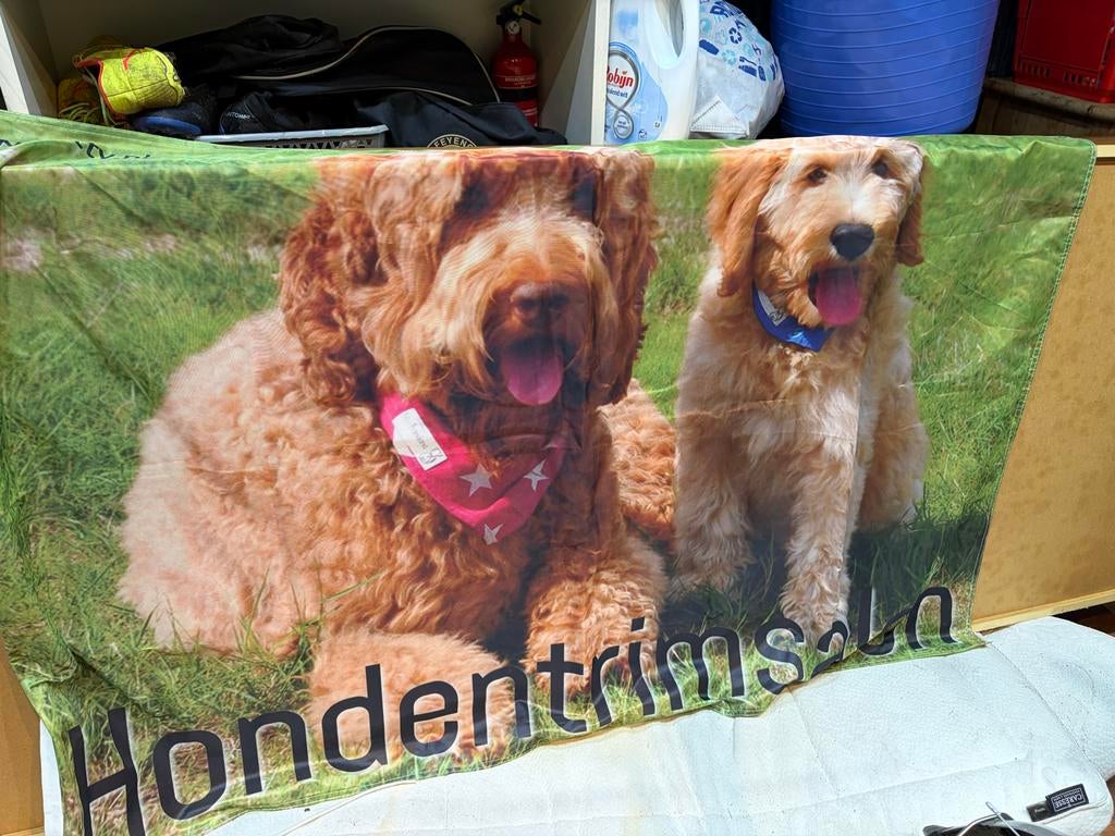 Nieuwe vlag, Ophalen of Verzenden