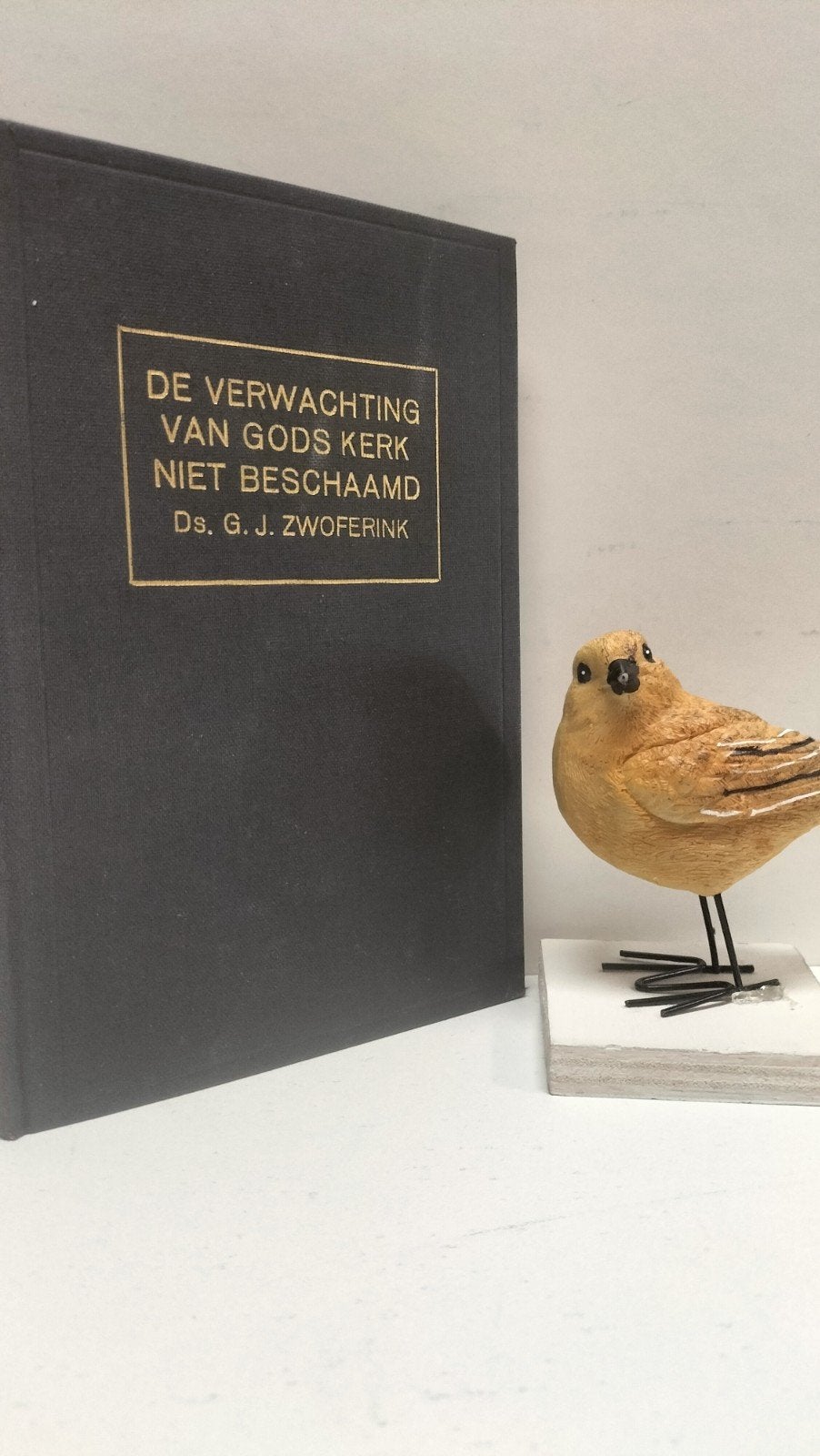 Zwoferink, Ds. G.J.; De verwachting van Gods Kerk niet besch, Ophalen of Verzenden, Gelezen, Christendom | Protestants