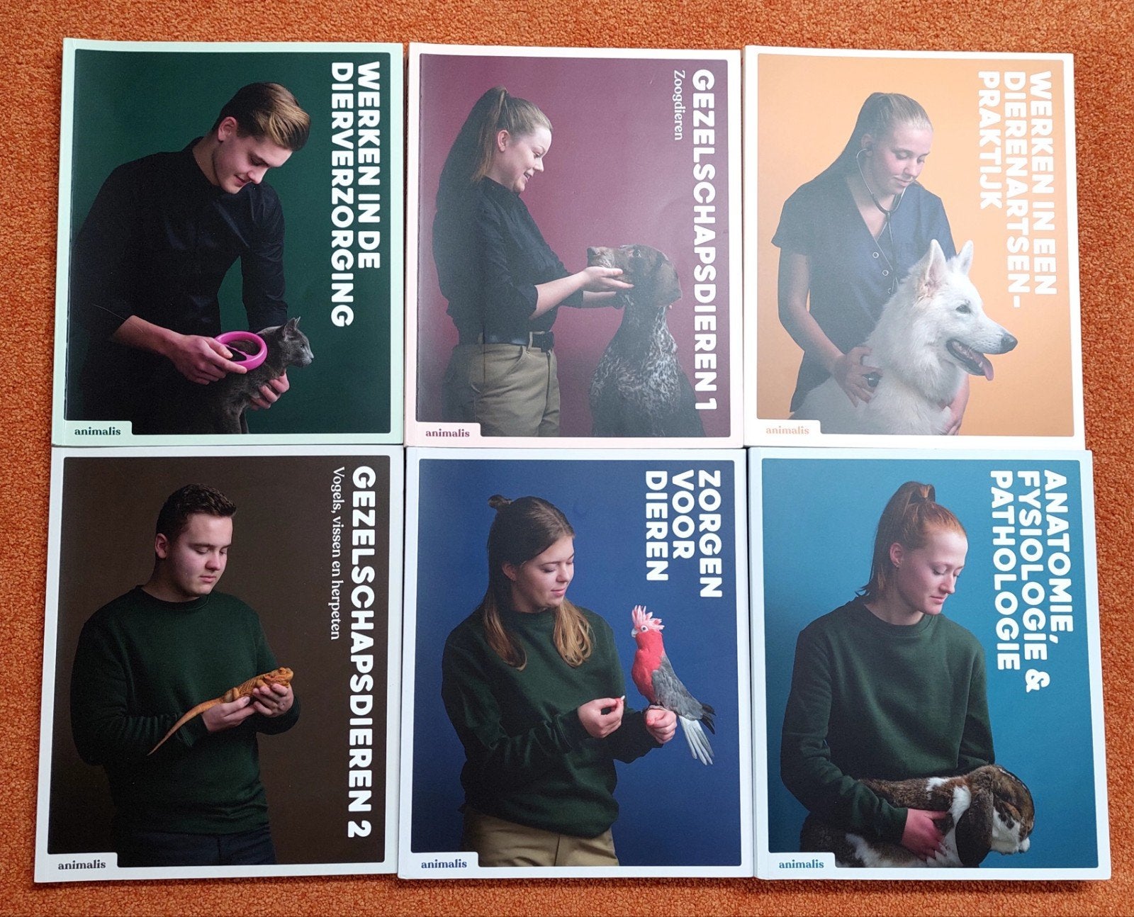 Studieboeken opleiding Paraveterinair, Boeken, Ophalen of Verzenden, Beta, Zo goed als nieuw, MBO
