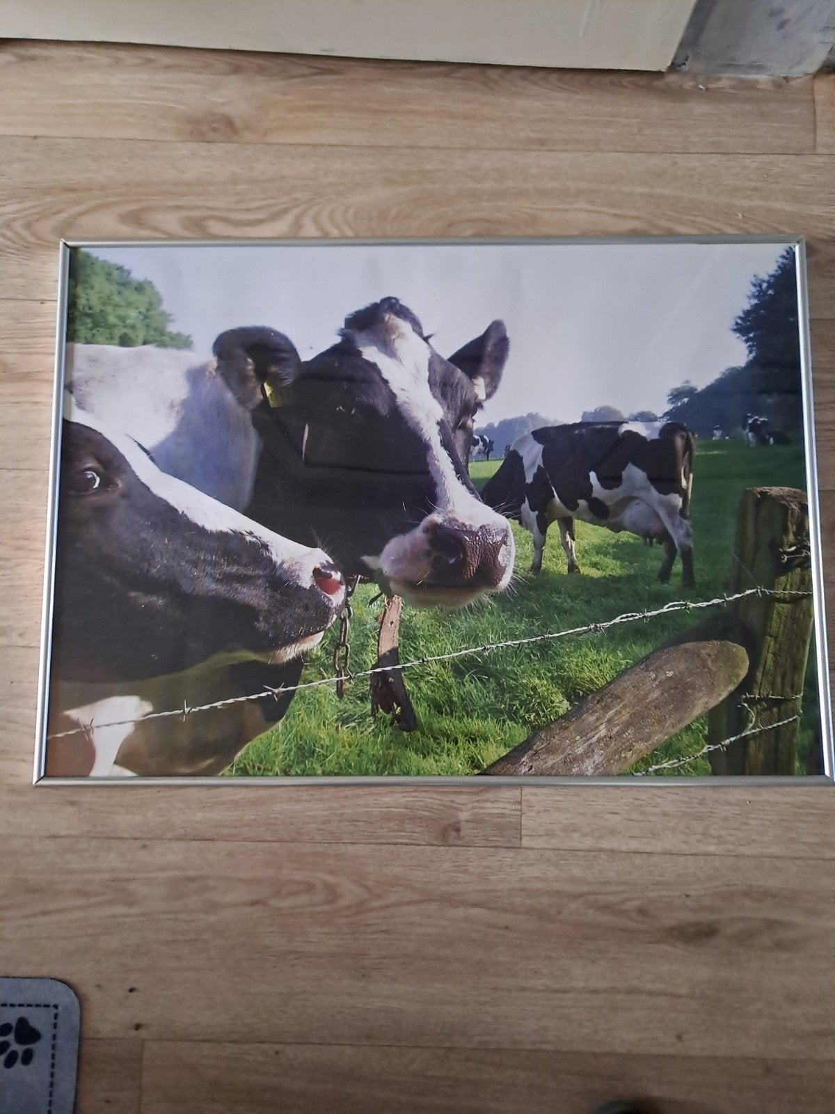 mooie fotolijst, Ophalen, Zo goed als nieuw, 50 tot 75 cm, Schilderij