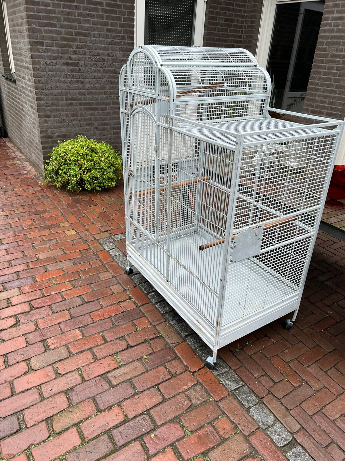 Grote vogelkooi, Ophalen, Gebruikt, Metaal, Vogelkooi