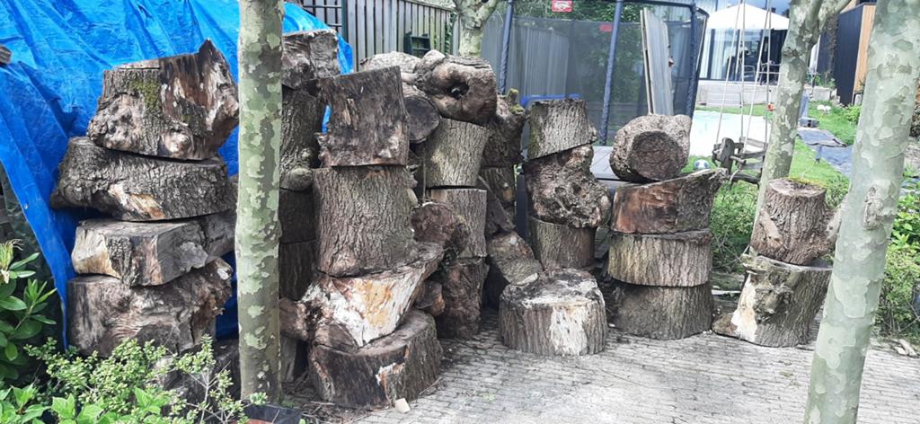 Boomstammen van essenhout te koop, Tuin en Terras, Haardhout, 6 m³ of meer, Ophalen, Overige houtsoorten, Stammen