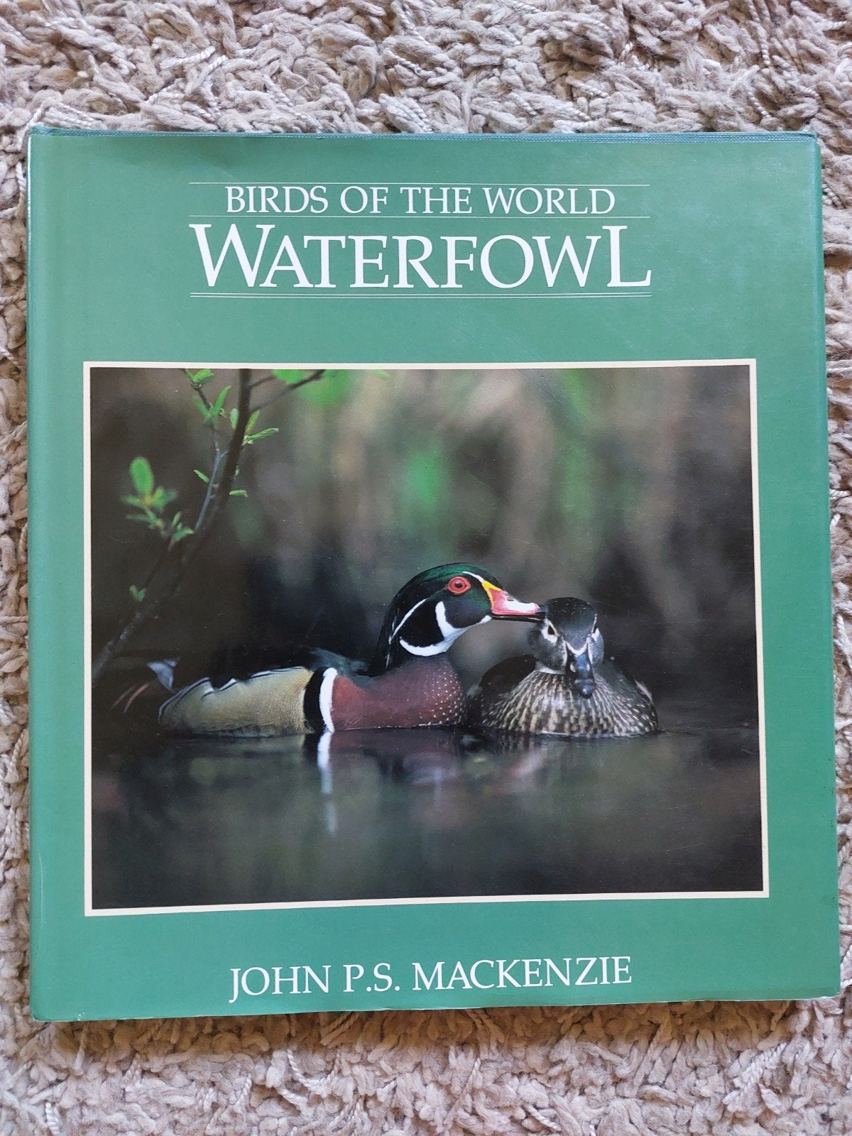 Birds of the World Waterfowl - John P.S. Mackenzie, Ophalen of Verzenden, Zo goed als nieuw, Vogels, John P.S. Mackenzie