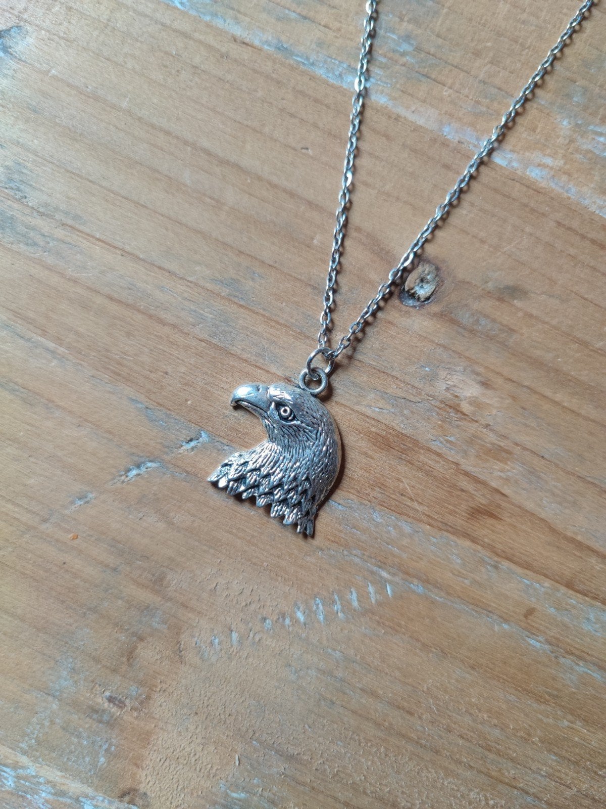 Nieuwe zilverkleurige ketting met adelaar hanger, Verzenden, Nieuw, Zilver, Overige materialen