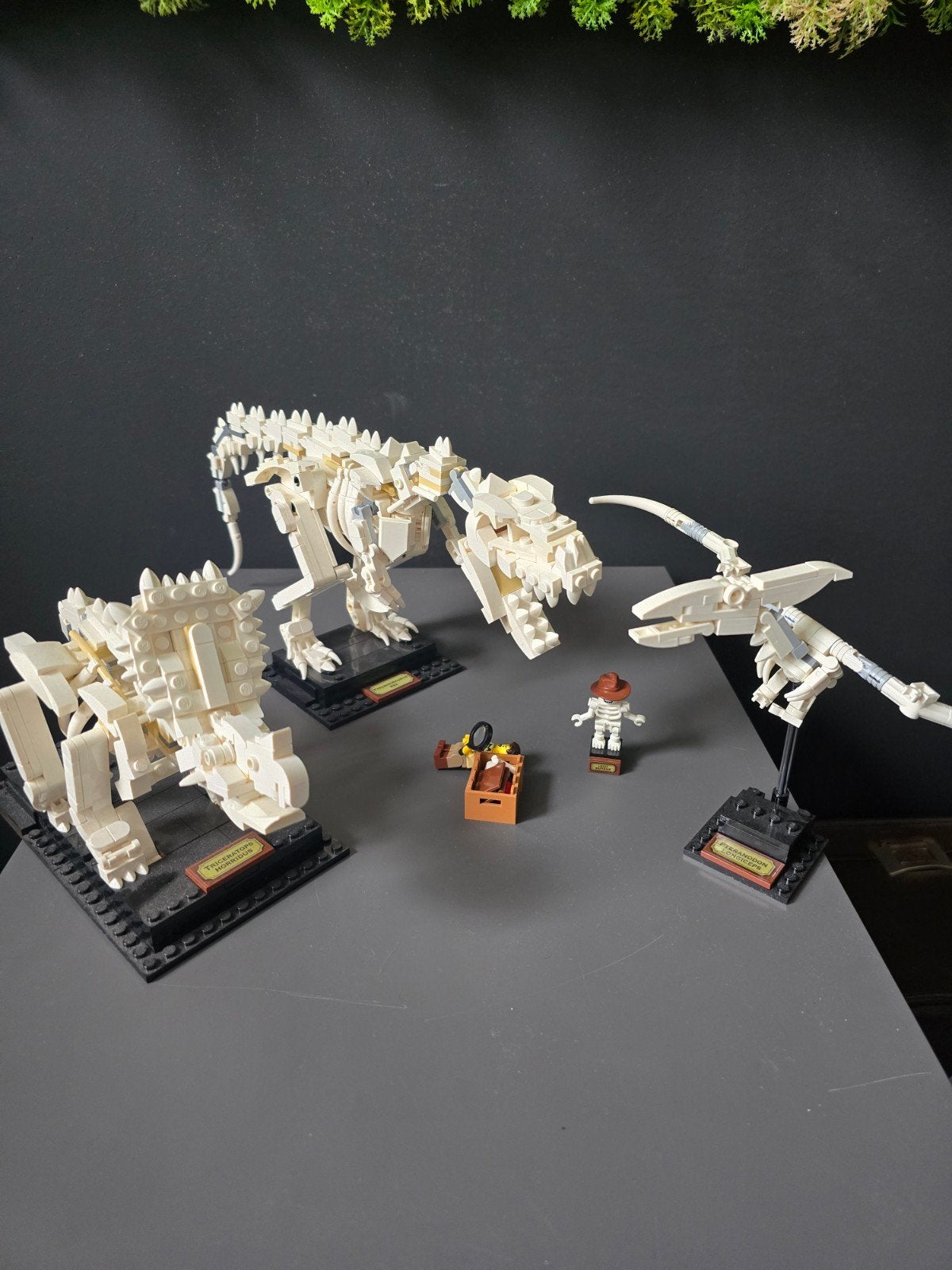 LEGO Ideas 21320 Dinosaurus Fossielen, Ophalen of Verzenden