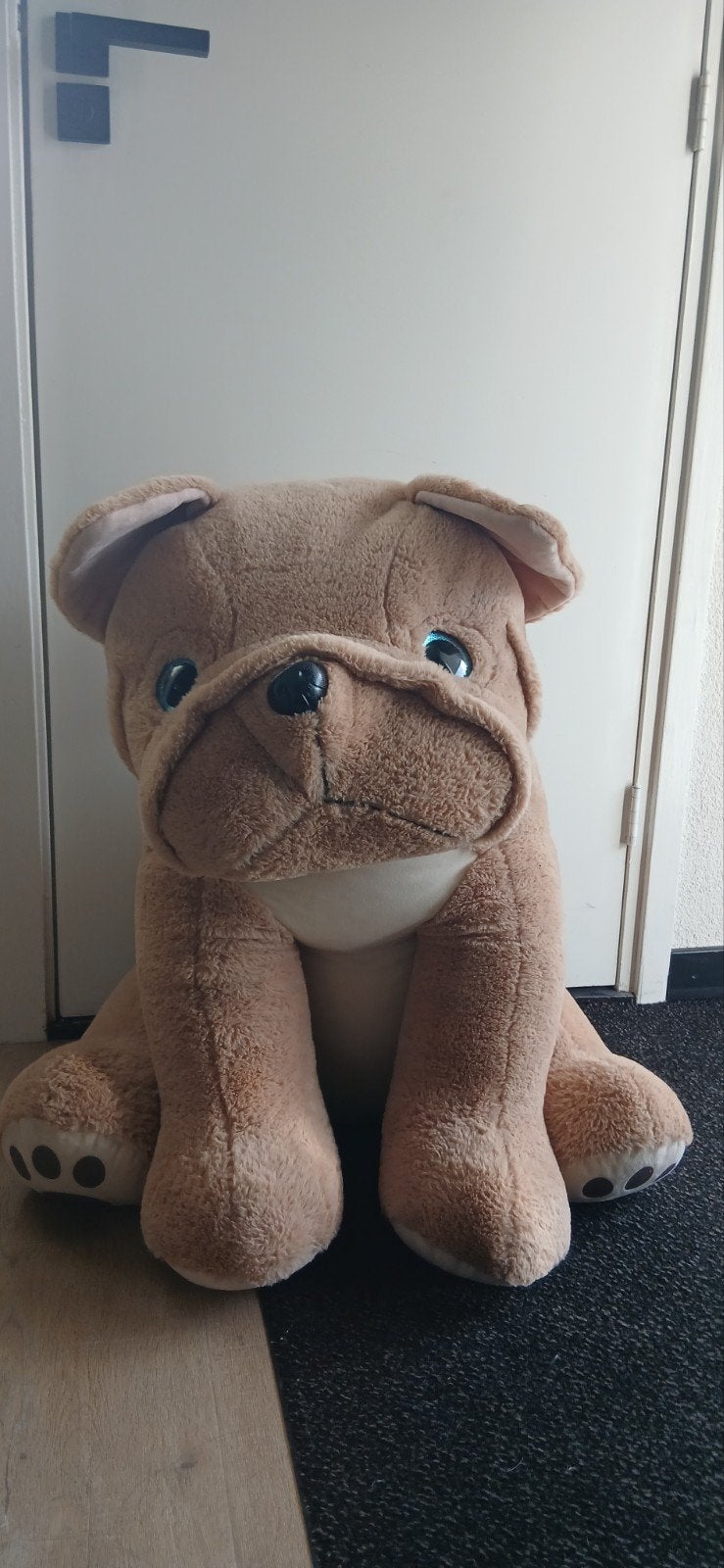 Grote, lieve, lichtbruine, zachte hond knuffel, Ophalen, Zo goed als nieuw, Hond