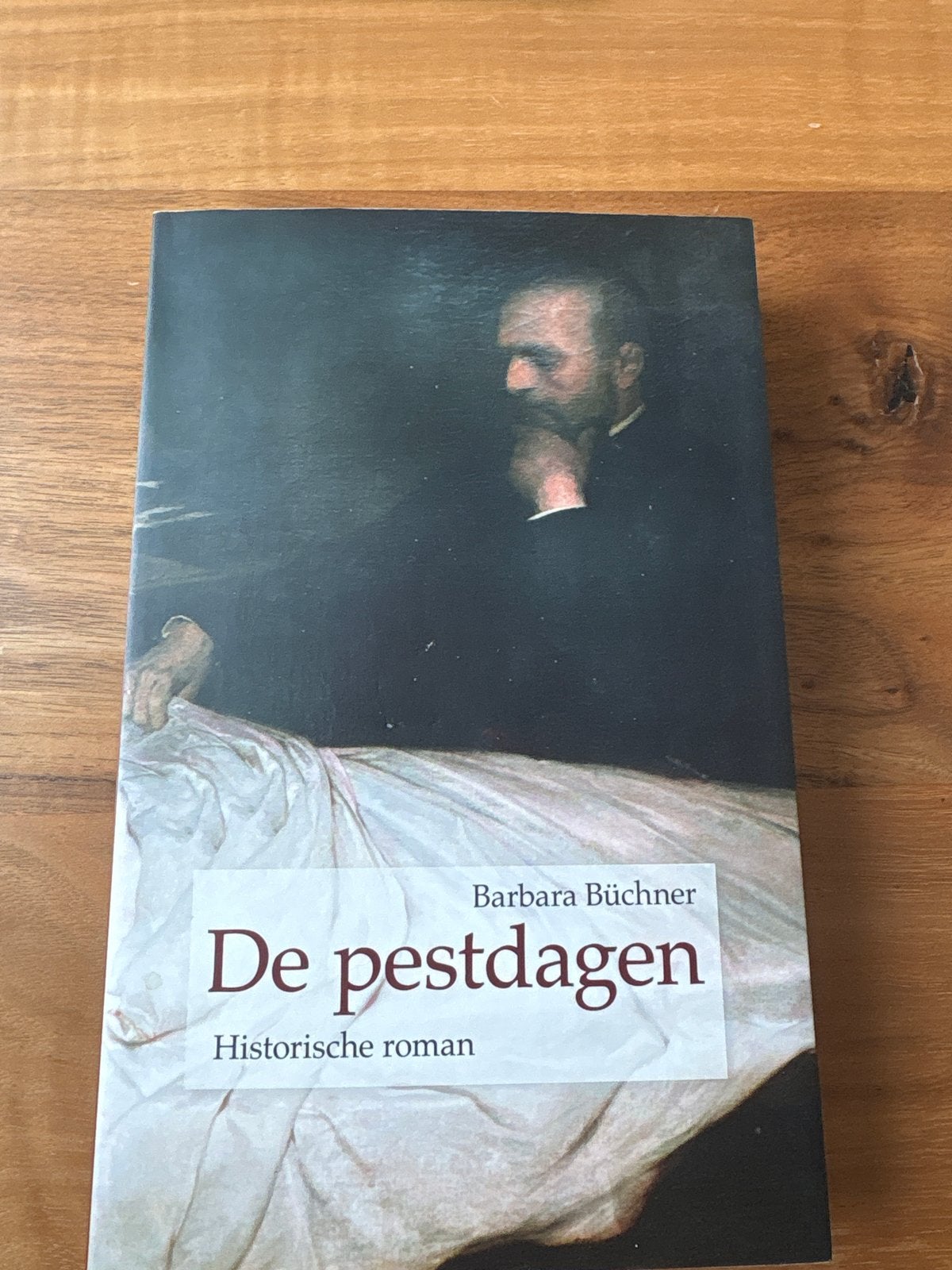 De Pestdagen - Historische roman van Barbara Büchner, Ophalen of Verzenden, Zo goed als nieuw