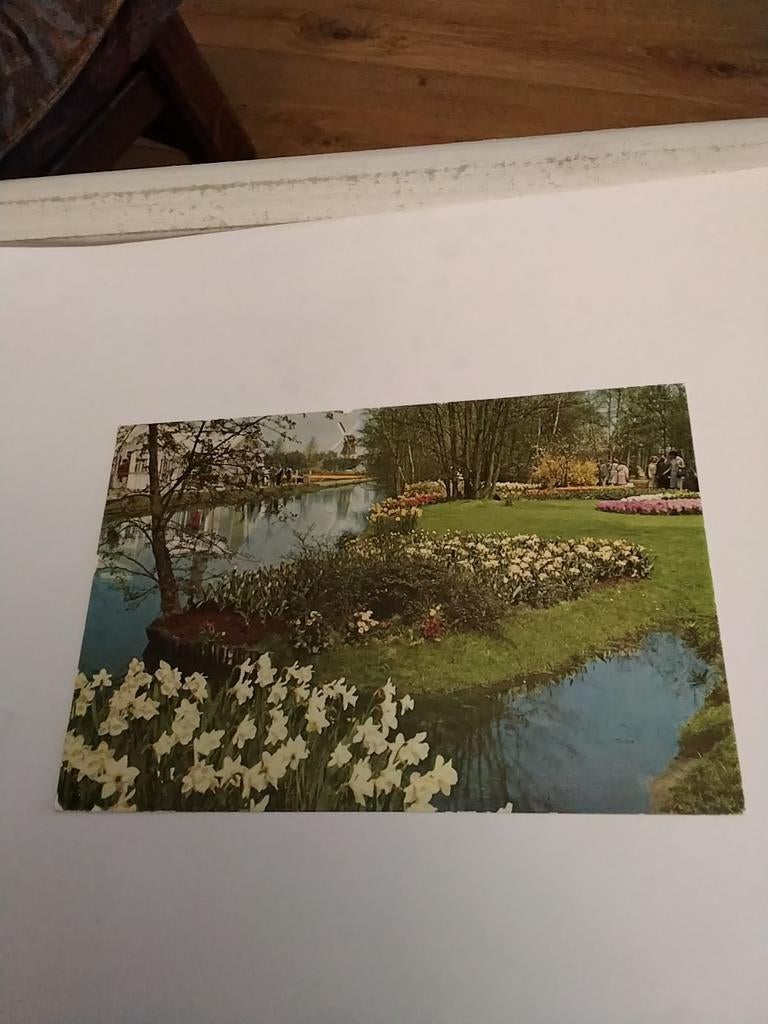 LISSE  KEUKENHOF  1962, Ophalen of Verzenden, 1960 tot 1980