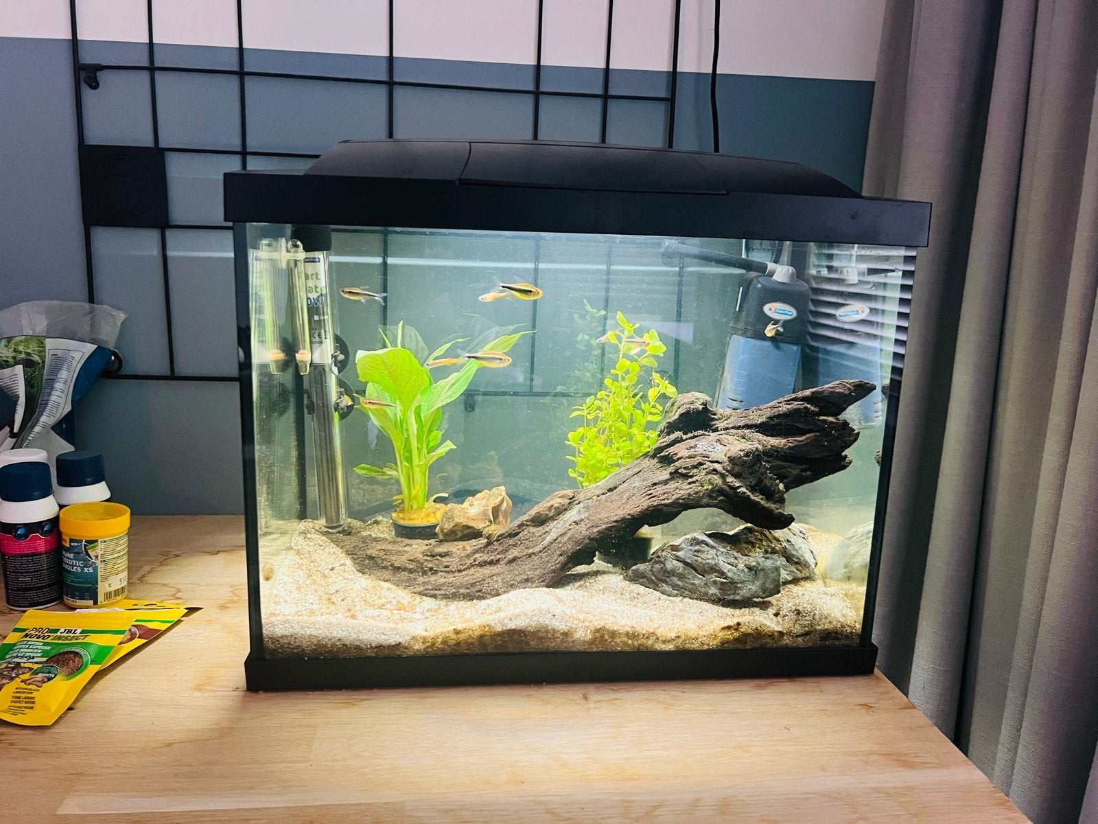 Aquarium compleet, superfish 50, 40L inclusief vissen!, Dieren en Toebehoren, Ophalen, Zo goed als nieuw, Gevuld zoetwateraquarium