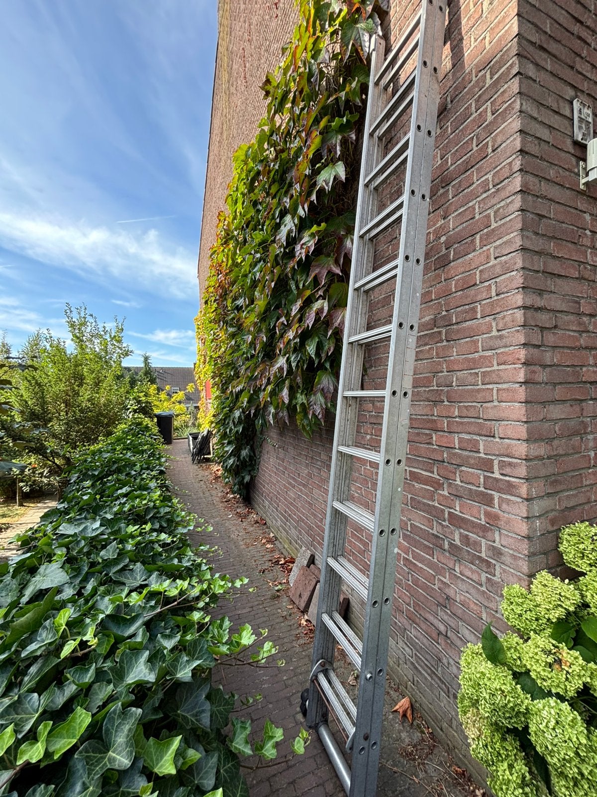 Altrex opschuifladder, gebruikt. 2x12 sporten, Ophalen, Gebruikt, Ladder, Opvouwbaar of Inschuifbaar
