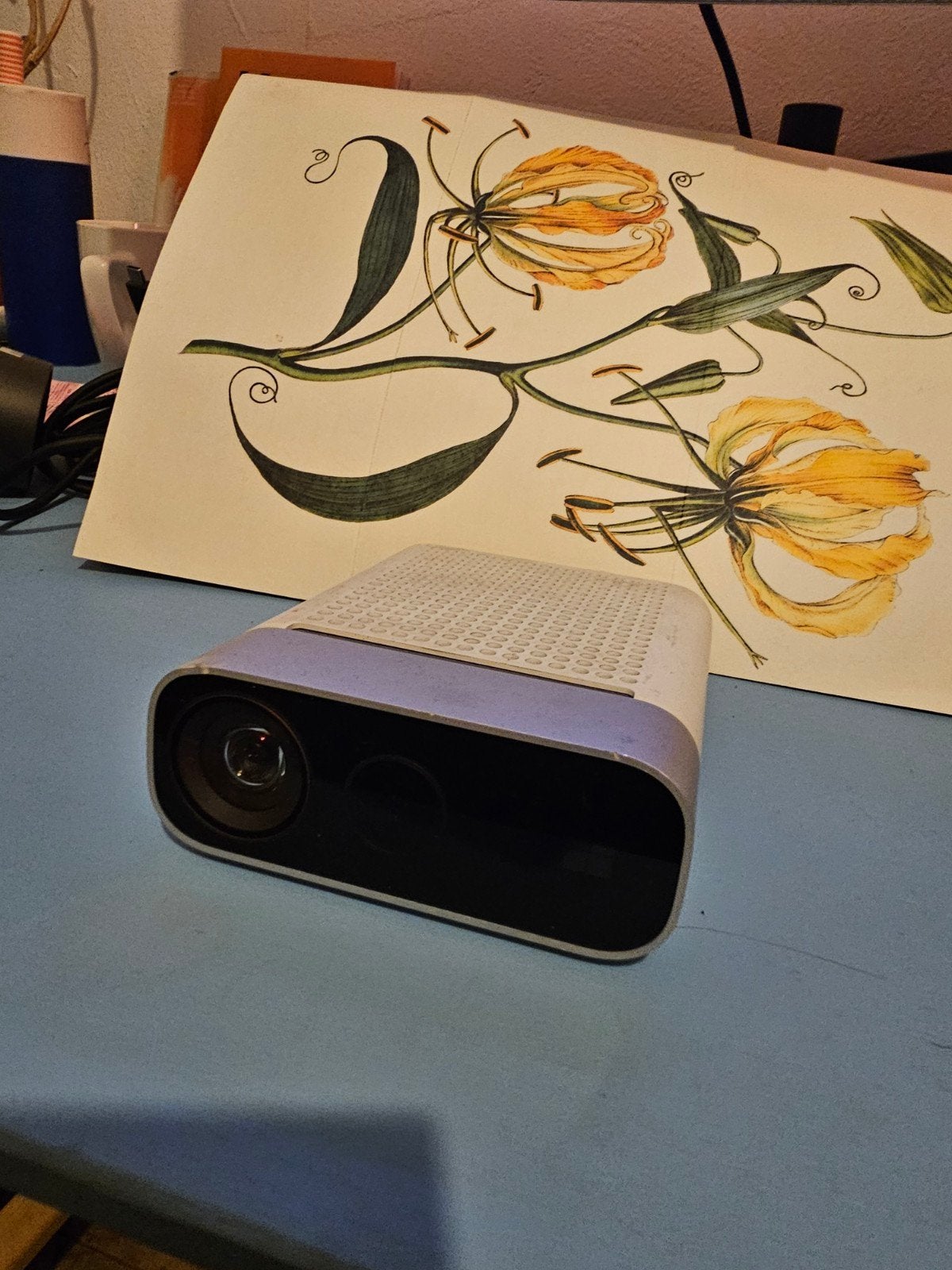 Kinect Azure, Ophalen of Verzenden