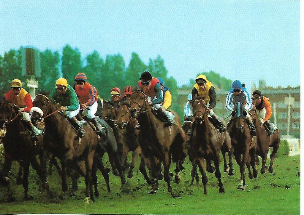 Sport- -Paardensport., Verzamelen, Verzenden, 1980 tot heden, Ongelopen, Sport en Spel