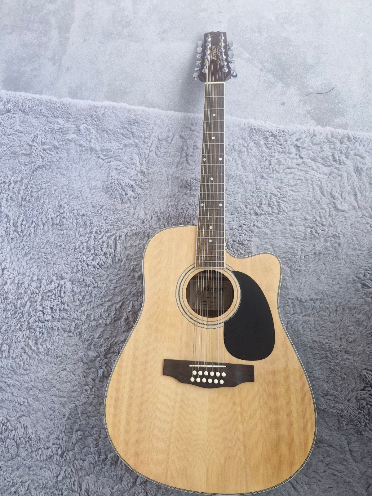 Morgan 12-snarige Western gitaar met element WG-12CE, Ophalen, Zo goed als nieuw, Western- of Steelstringgitaar, 12-snarig