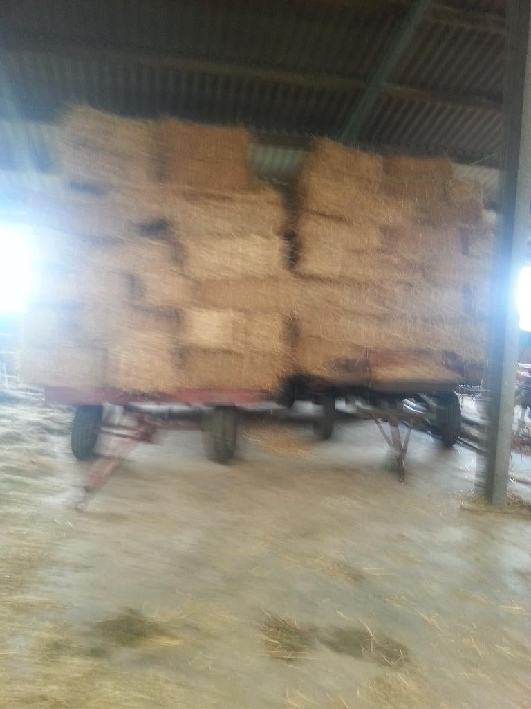 stro tarwe gerst en bonenstro, Dieren en Toebehoren, Dierenvoeding, Ophalen, Vee